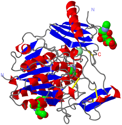 Image Asym./Biol. Unit