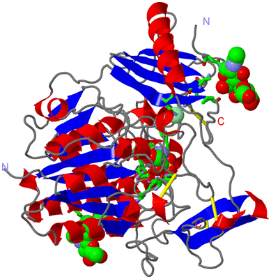 Image Asym./Biol. Unit - sites