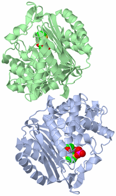 Image Asym./Biol. Unit