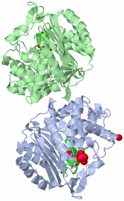 Image Asym./Biol. Unit - sites