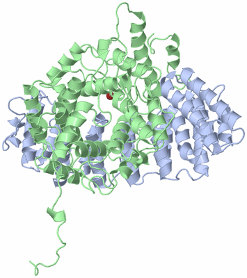 Image Asym./Biol. Unit