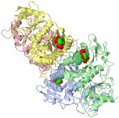 Image Asym./Biol. Unit