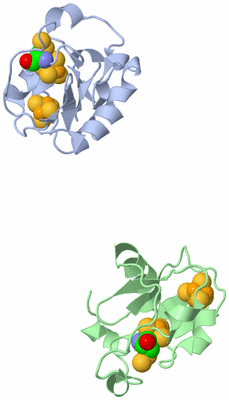 Image Asymmetric Unit