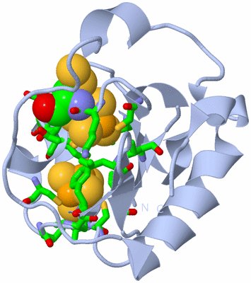 Image Biol. Unit 1 - sites