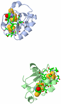 Image Asym. Unit - sites