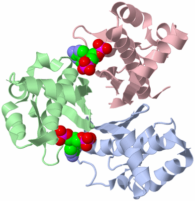 Image Asym./Biol. Unit