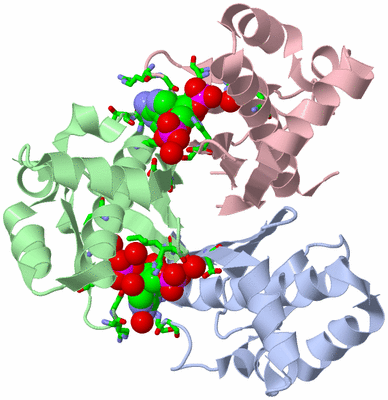 Image Asym./Biol. Unit - sites