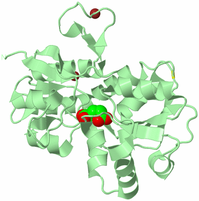 Image Biological Unit 2