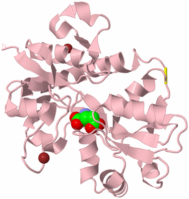 Image Biological Unit 3