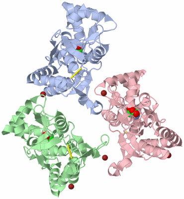 Image Biological Unit 4