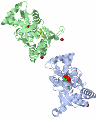 Image Biological Unit 5