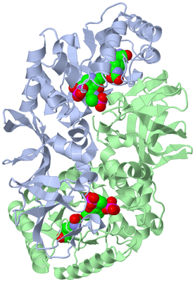 Image Asym./Biol. Unit