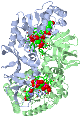 Image Asym./Biol. Unit - sites