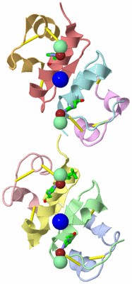 Image Biol. Unit 1 - sites