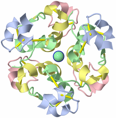 Image Biological Unit 3