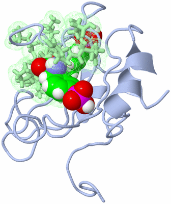 Image NMR Structure - model 1