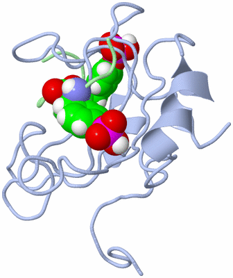 Image NMR Structure - all models