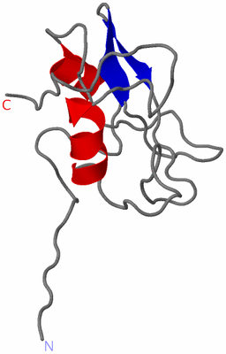 Image NMR Structure - model 1