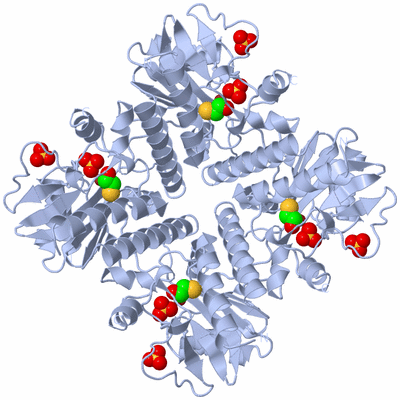 Image Biological Unit 1