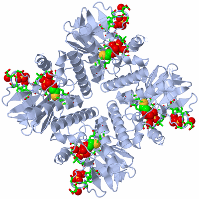 Image Biol. Unit 1 - sites