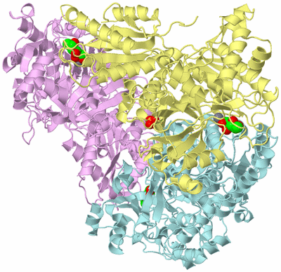 Image Biological Unit 2