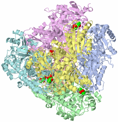 Image Biological Unit 3