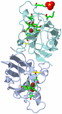 Image Biol. Unit 1 - sites