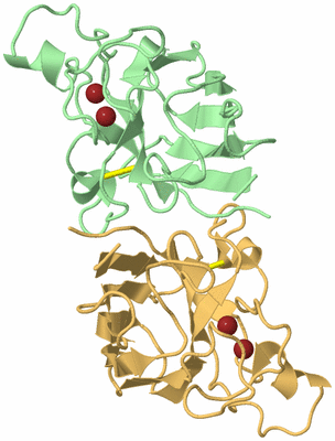 Image Biological Unit 2