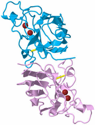 Image Biological Unit 5