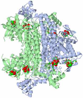 Image Biol. Unit 1 - sites