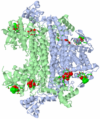 Image Biol. Unit 1 - sites