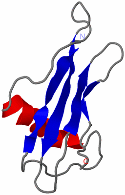 Image NMR Structure - model 1