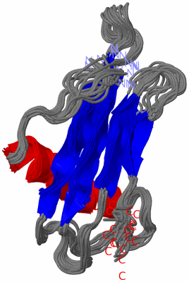 Image NMR Structure - all models
