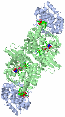 Image Biol. Unit 1 - sites