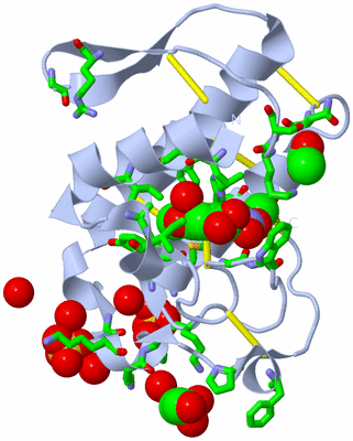 Image Biol. Unit 1 - sites