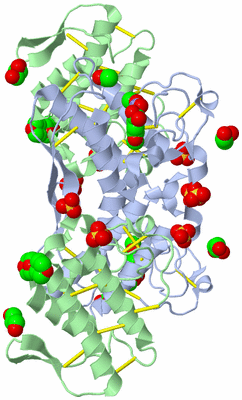 Image Biological Unit 3