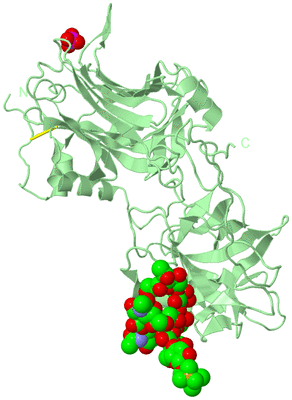 Image Biological Unit 2