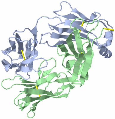 Image Biological Unit 1