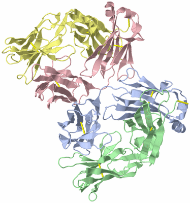 Image Asymmetric Unit