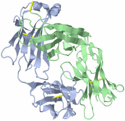 Image Biological Unit 1
