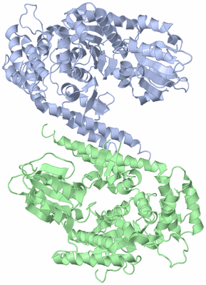 Image Asym./Biol. Unit