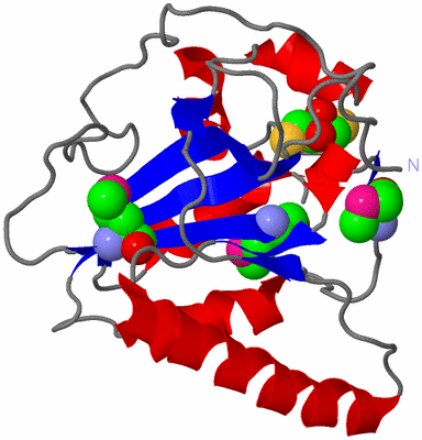 Image Asym./Biol. Unit