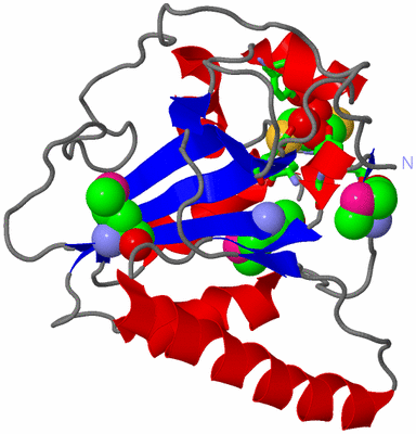 Image Asym./Biol. Unit - sites