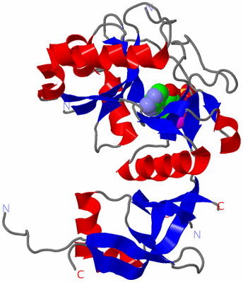 Image Asym./Biol. Unit