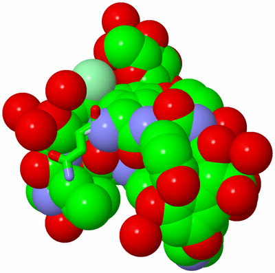 Image Biol. Unit 1 - sites