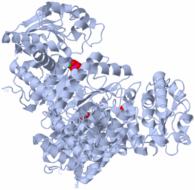 Image Biological Unit 1