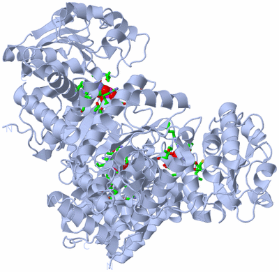 Image Biol. Unit 1 - sites