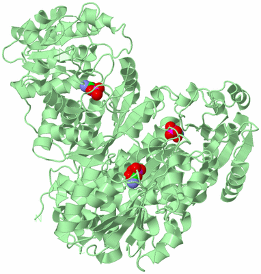 Image Biological Unit 2