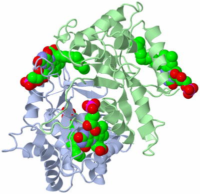 Image Asym./Biol. Unit