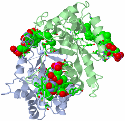 Image Asym./Biol. Unit - sites